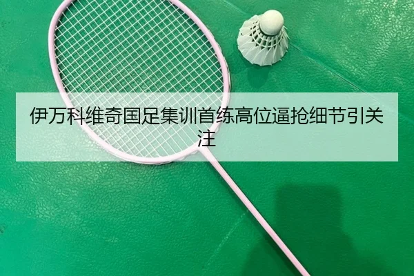 伊万科维奇国足集训首练高位逼抢细节引关注
